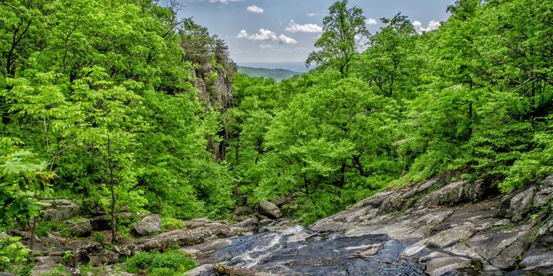 光影魔术师：专访213木业设计师，揭秘如何用实木格栅与线性元素重塑现代极简家居美学